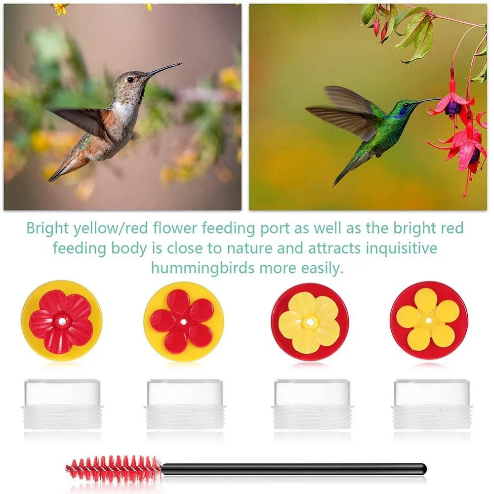 6 x Hummingbird Hand Feeders with 4 Brushes for Easy Feeding