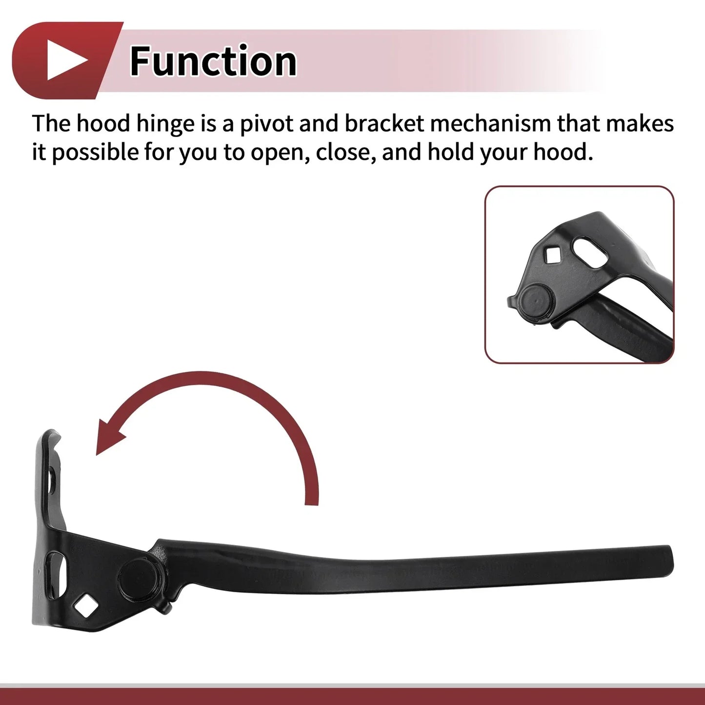 Hood Hinges for Honda Accord, Honda Crosstour (2008-2012) - 1 Pair