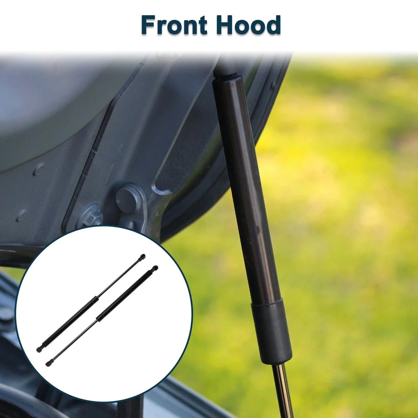 Hood Lift Supports Struts for Lexus IS F Base Sedan (2008-2014)