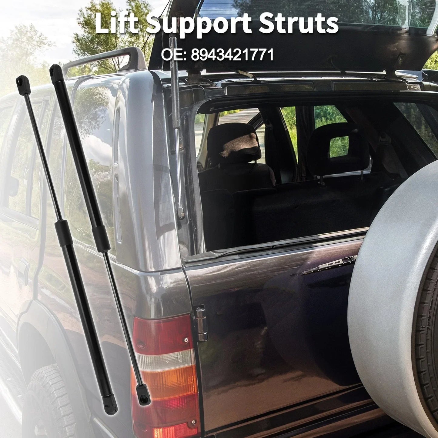 Rear Window Lift Supports for Honda Passport Sport (2003-2008)