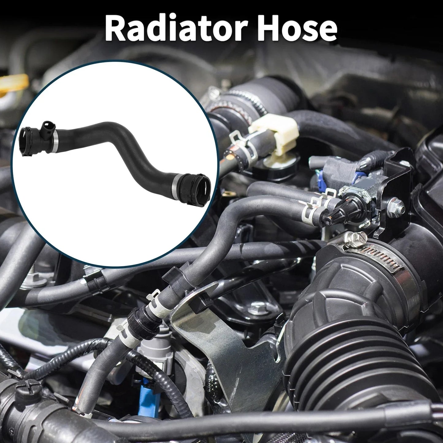 Radiator Hose for BMW X5 (2003-2006)