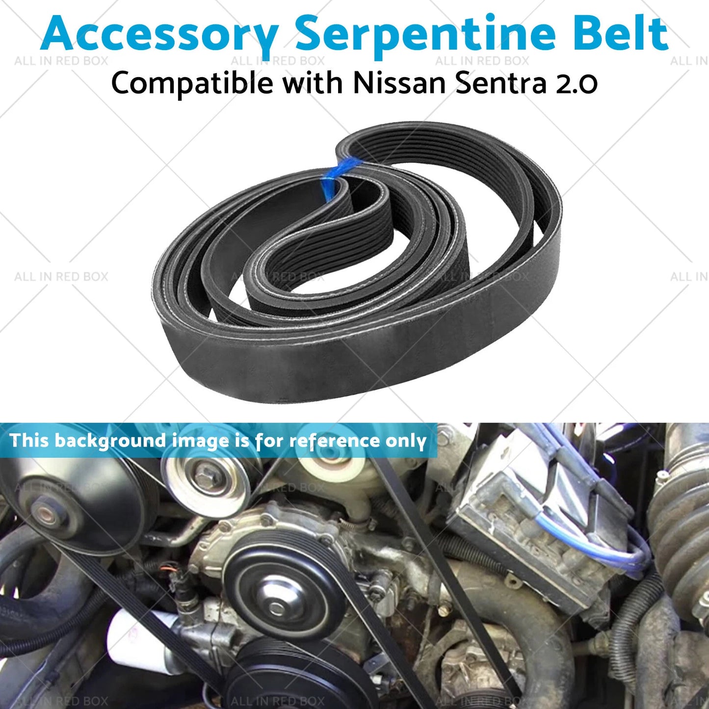 Serpentine Belt for Nissan Sentra 2.0 (2007-2012)