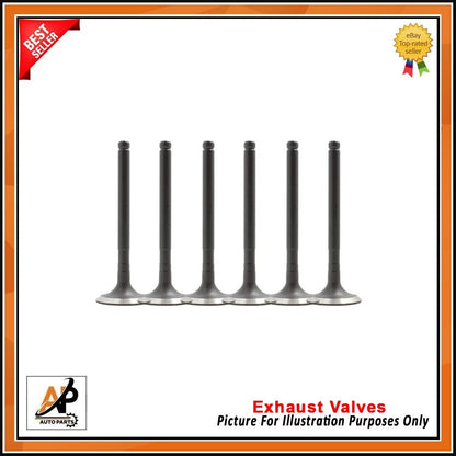 Engine Valve Replacement Set of 12 for Ford 1.0 EcoBoost (2012–2020)