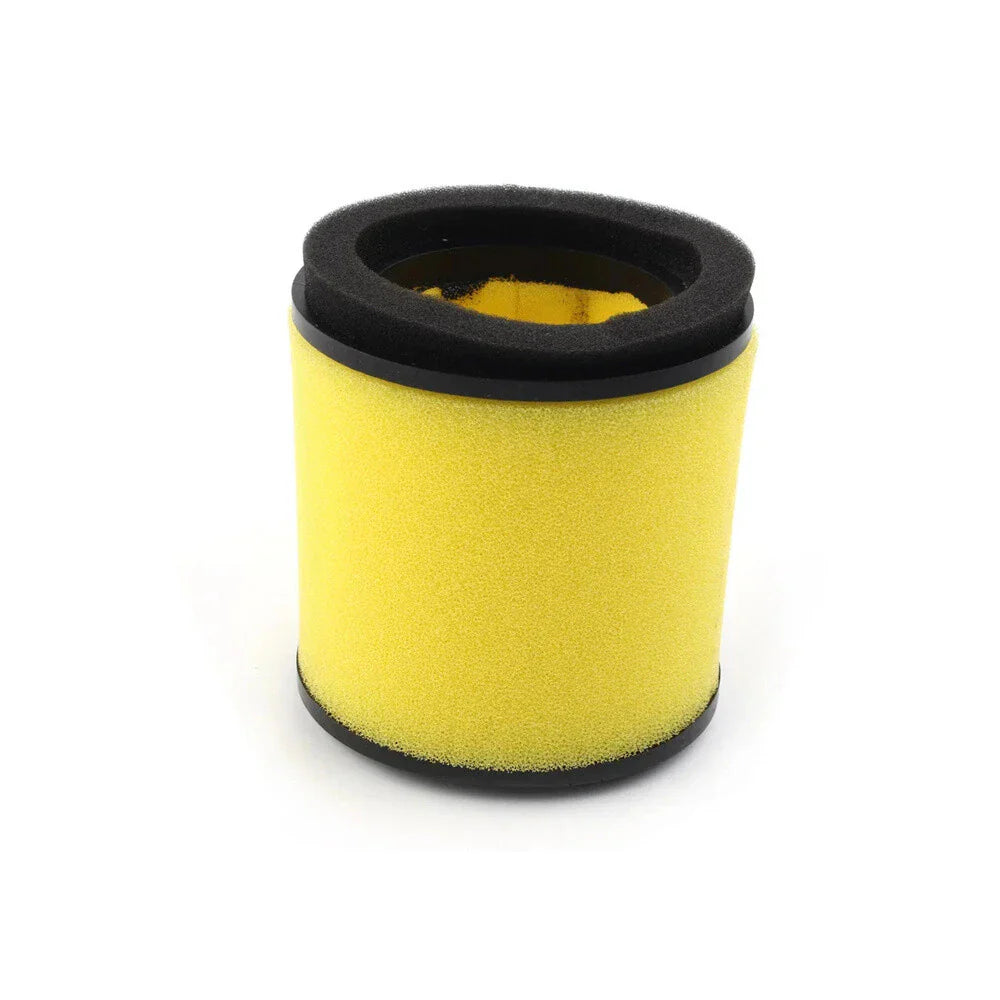 Air Filter for Arctic Cat 300 250 2x4 4x4 (2000-2005)