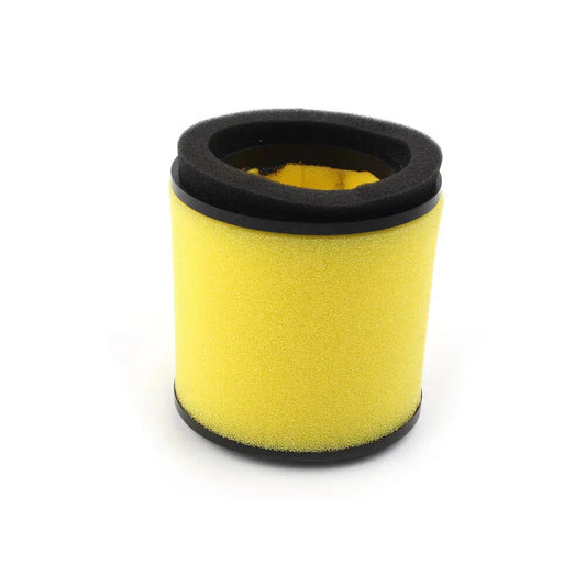 Air Filter for Arctic Cat 300 250 2x4 4x4 (2000-2005)