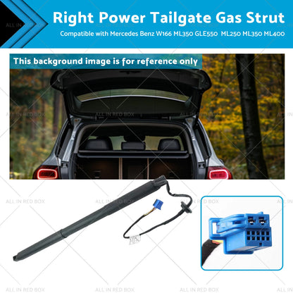 Gas Strut for Mercedes Benz W166 ML350 (2012-2015)