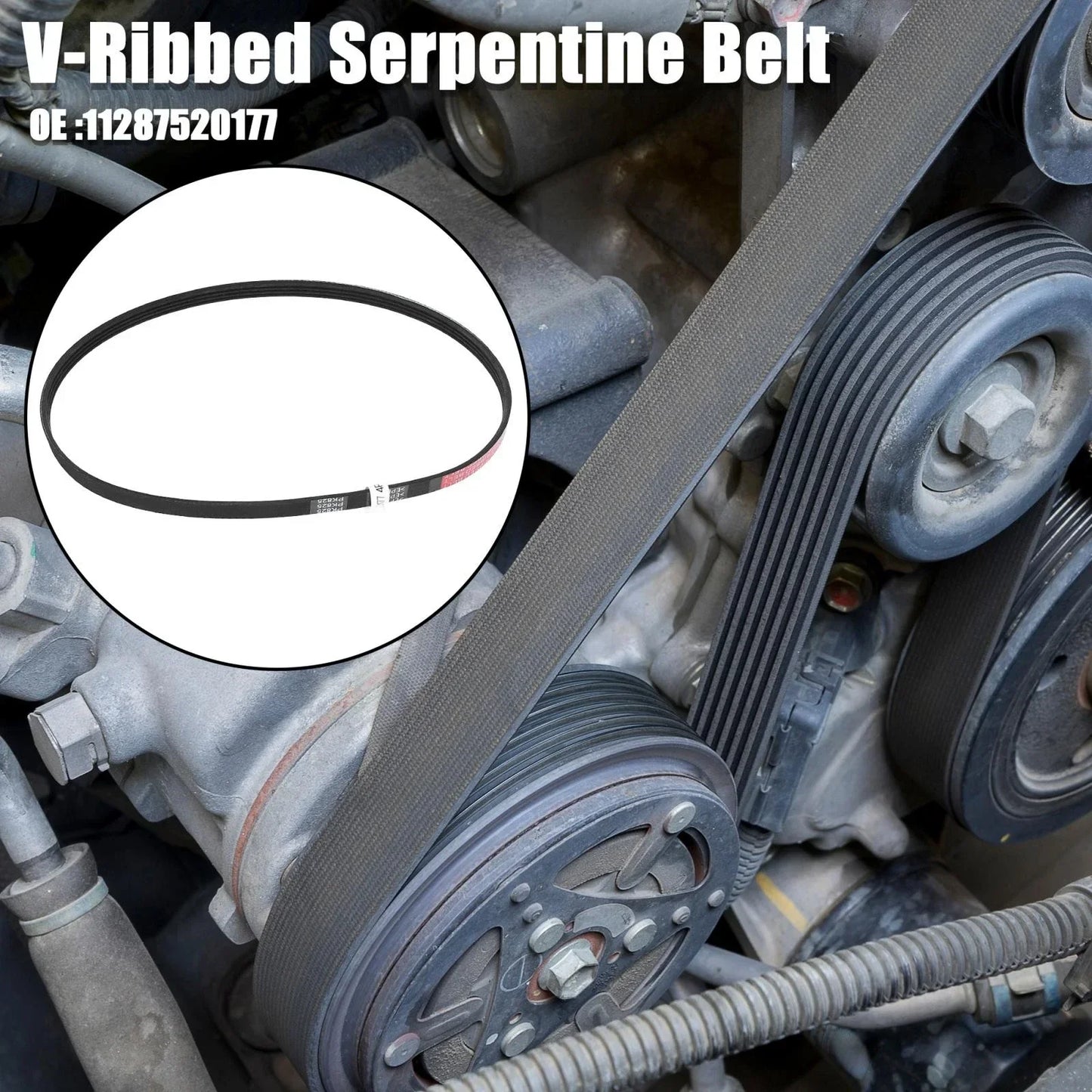 V-Ribbed Serpentine Belt 4PK825 for BMW 750i (2006-2008)