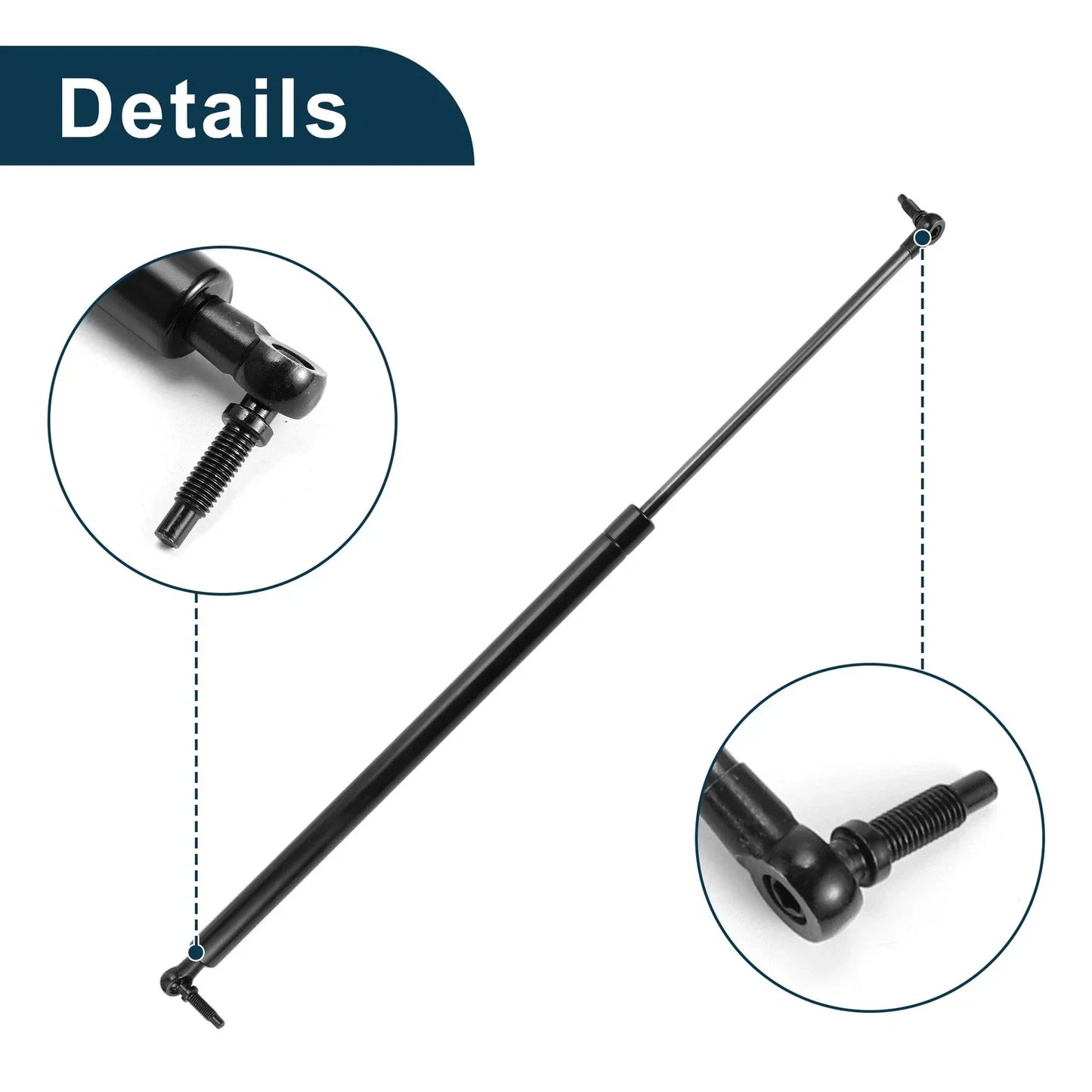 Rear Hatch Lift Supports for Dodge Caravan (2011-2020)