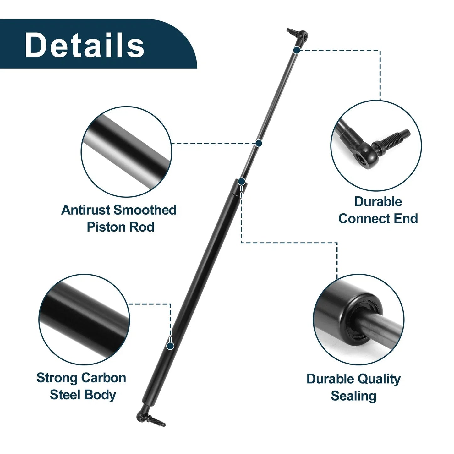 Rear Hatch Lift Supports for Dodge Caravan (2011-2020)