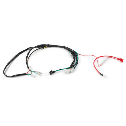 Electric Wiring Harness for Chinese ATV UTV GoKart Taotao 50CC-125CC