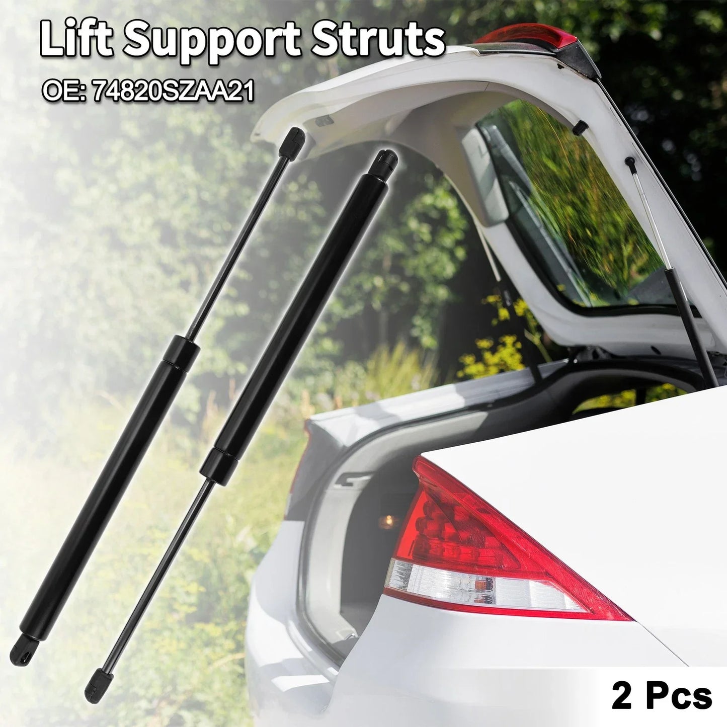 Rear Hatch Lift Supports for Honda Pilot Sport Utility (2016-2023)