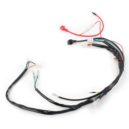 Electric Wiring Harness for Chinese ATV UTV GoKart Taotao 50CC-125CC