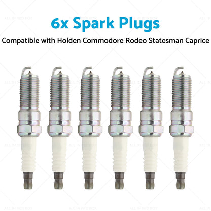 6 x Spark Plugs for Holden Commodore Rodeo Statesman Caprice Calais 3.6L