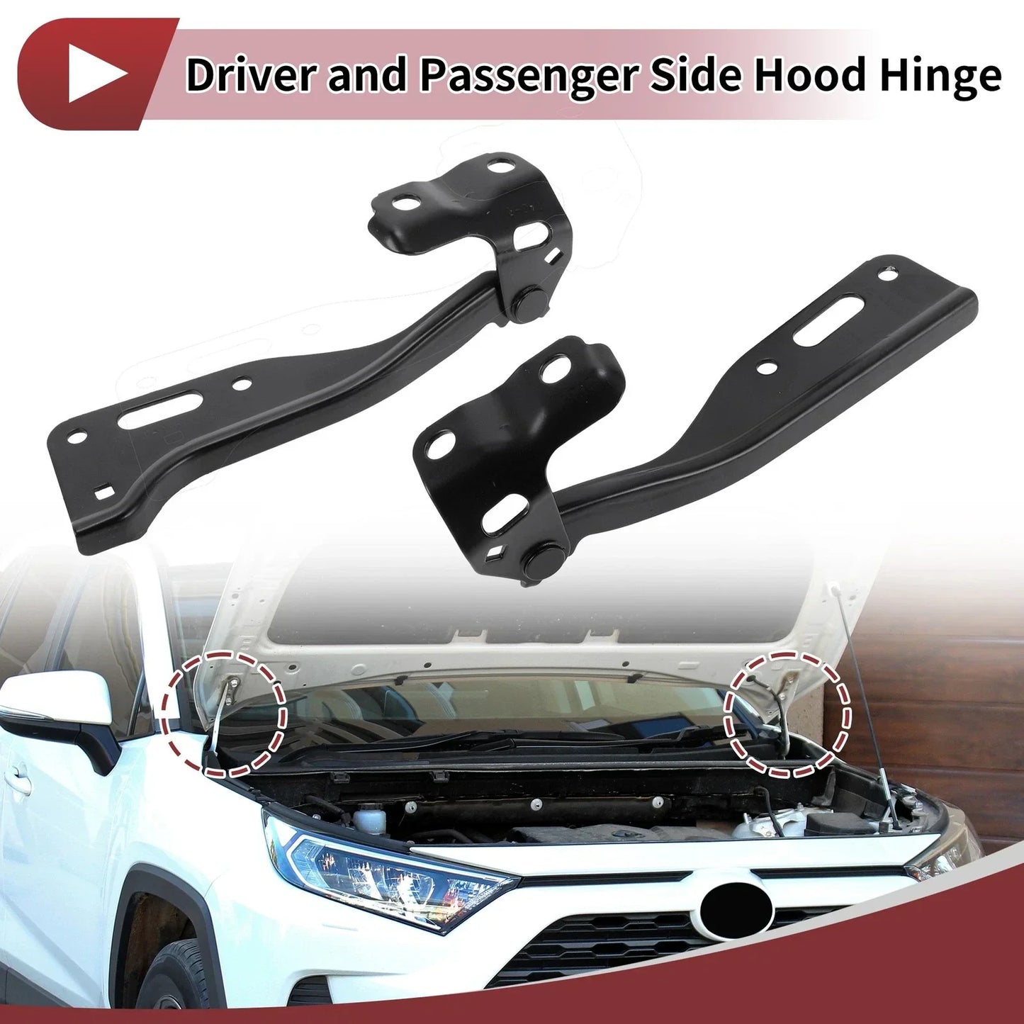 Hood Hinges for Honda Accord, Honda Crosstour (2008-2012) - 1 Pair