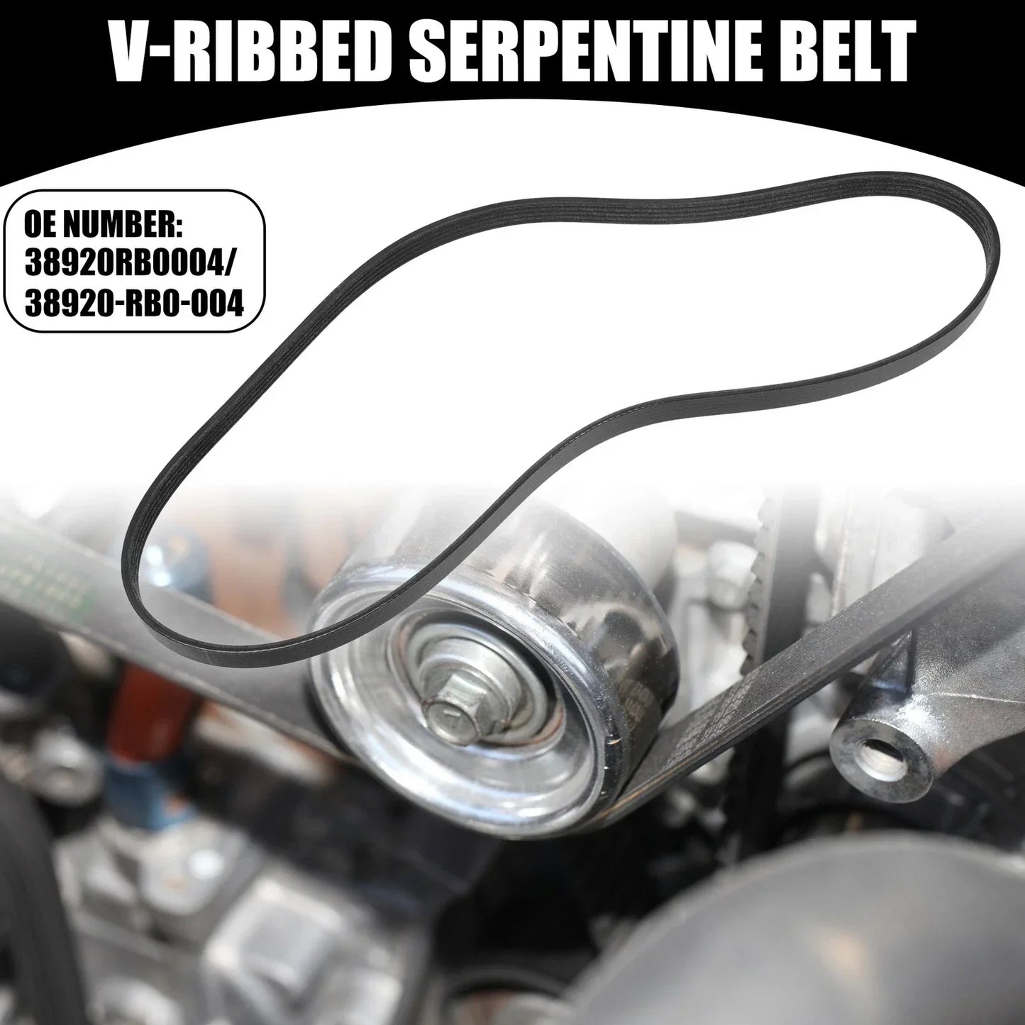 V-Ribbed Serpentine Belt for Honda Fit 5 Doors (2009-2013)
