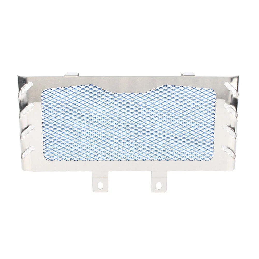 Stainless Aluminum Radiator Guard Cover for BMW R Nine T (2014-2018)