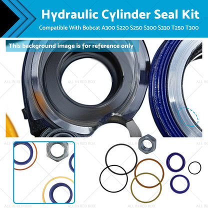 Hydraulic Cylinder Seal Kit for Bobcat A300 S220 S250 S300 S330 T250