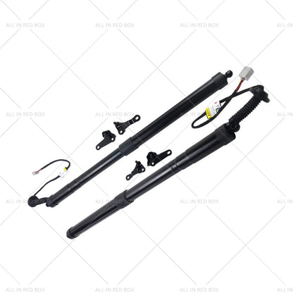 Rear Tailgate Struts for Lexus NX200t NX300h 2.0L 2.5L (2015-2020)