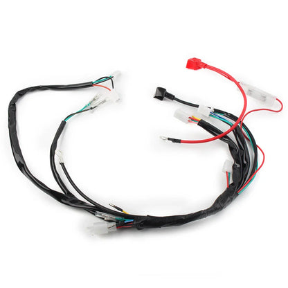 Electric Wiring Harness for Chinese ATV UTV GoKart Taotao 50CC-125CC