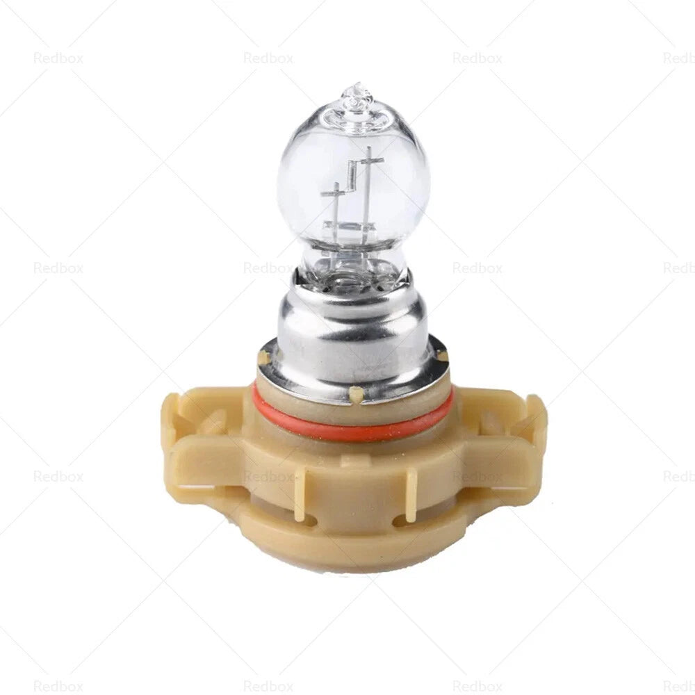 PSX24W 12V 24W Fog Light Clear Bulbs for Car (Various Years)