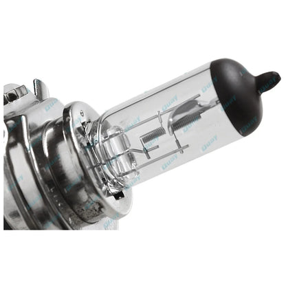 LH+RH Universal Headlights Pair w/Globes for Toyota Hilux/Hiace 1983-2005 LH=RH