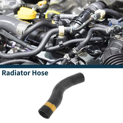 Radiator Hose for Lexus LS460 2007-2012 (2 x) Upper Pipe