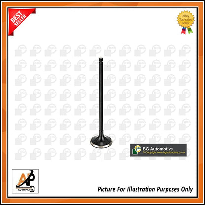 Exhaust Valve Replacement for Nissan Je Qashqai 1.6 HR16DE (2011–2017)