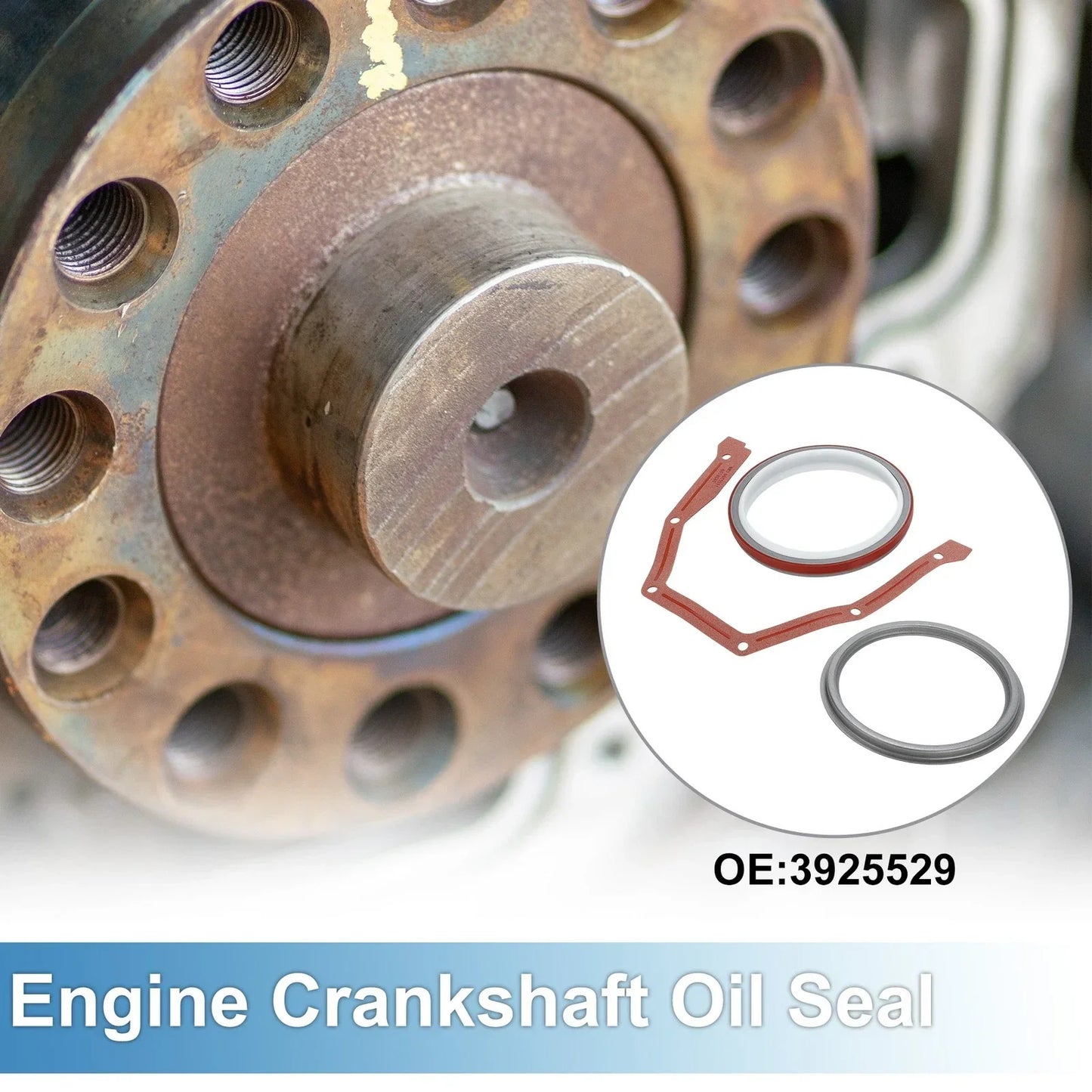 Rear Crankshaft Oil Seal & Installer Tool for Dodge B Series 5.9L (1994-2002)