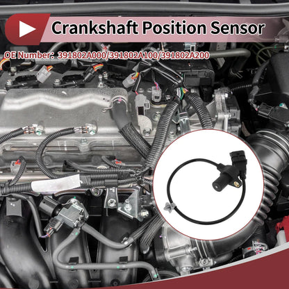 Crankshaft Position Sensor for HYUNDAI i30 1.6 CRDi (2007-2011) 1 x Pc