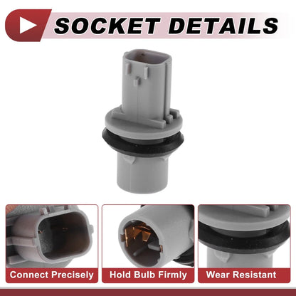 Turn Signal Light Socket Wiring for Honda CR-V (2015-2016)