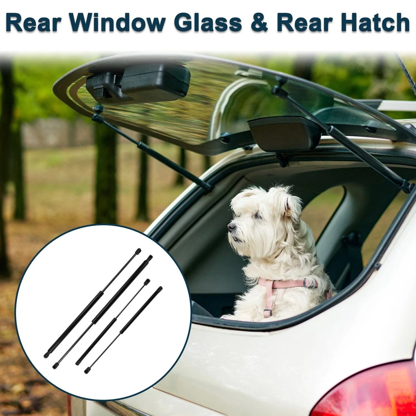 Rear Window Glass & Lift Supports for Chevrolet Suburban 1500 (2007-2014)