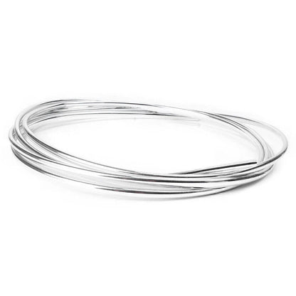 Car Door Edge Guard Scratch Protector Molding Trim Cover Chrome (All Years)