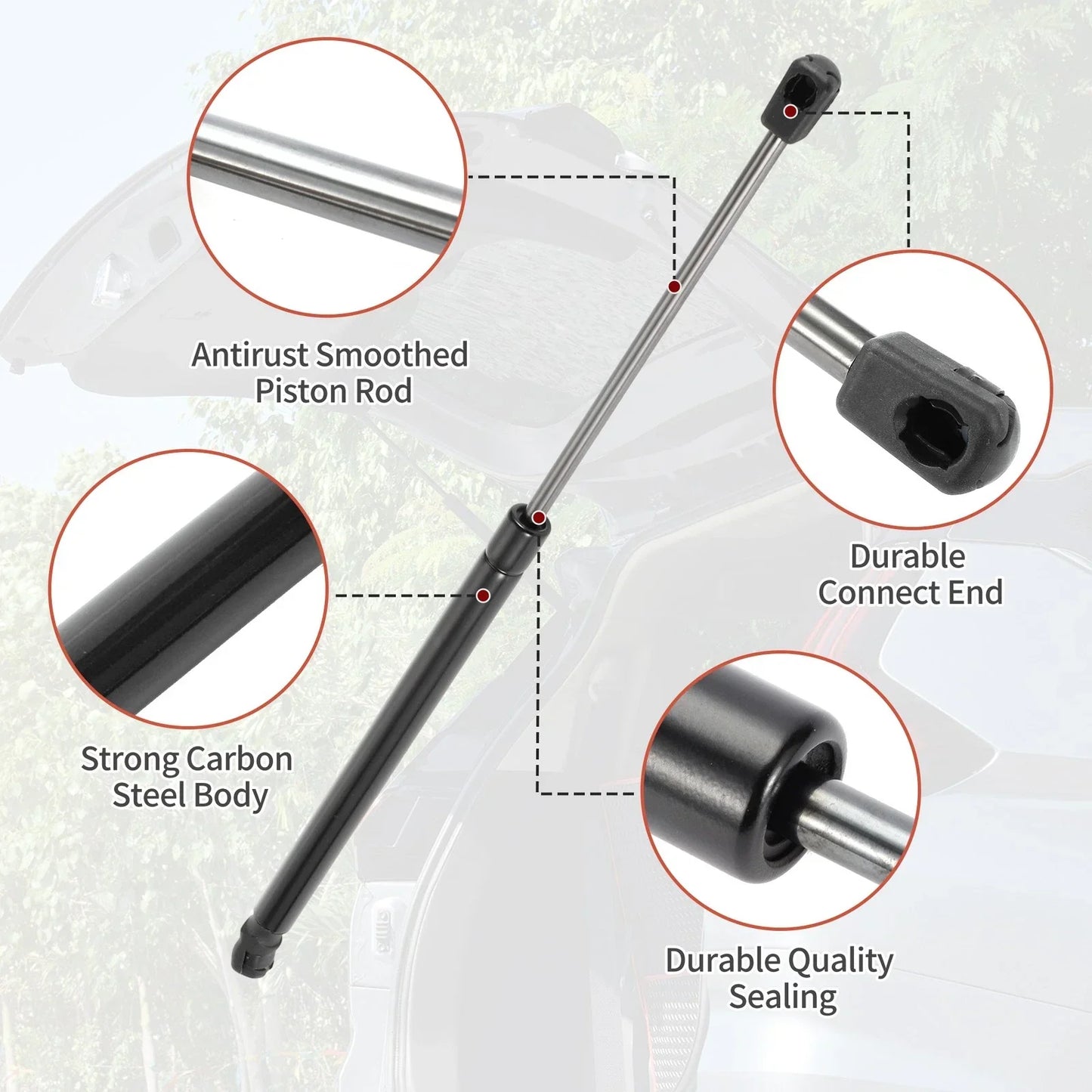 Rear Hatch Lift Supports for Hyundai Accent Hatchback (2012-2017)