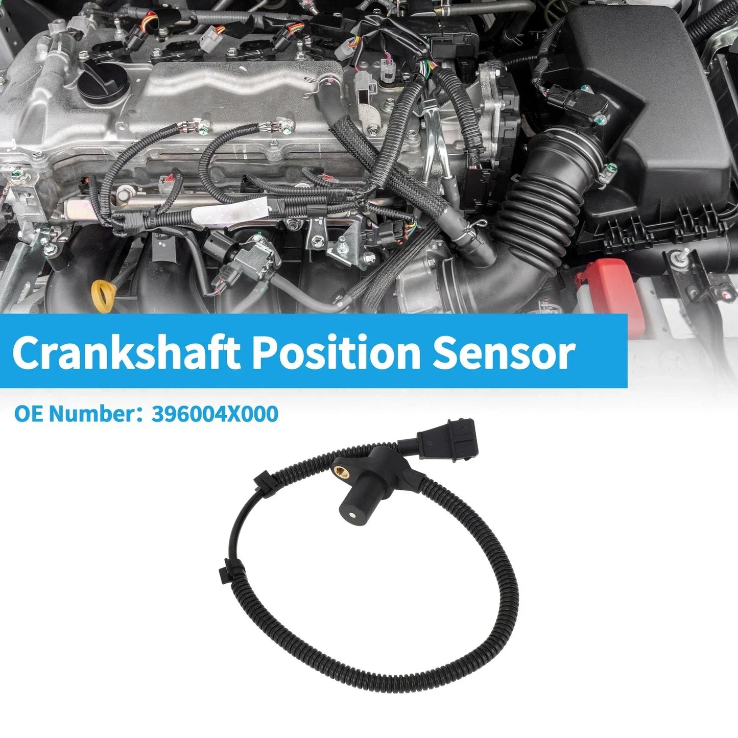 Crankshaft Position Sensor for Hyundai Terracan 2.9L (2003-2006)