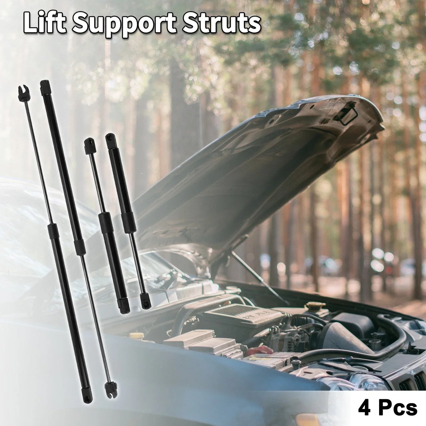 Hood & Tailgate Lift Supports 2 x Gas Springs for Dodge Intrepid (1993-1997)