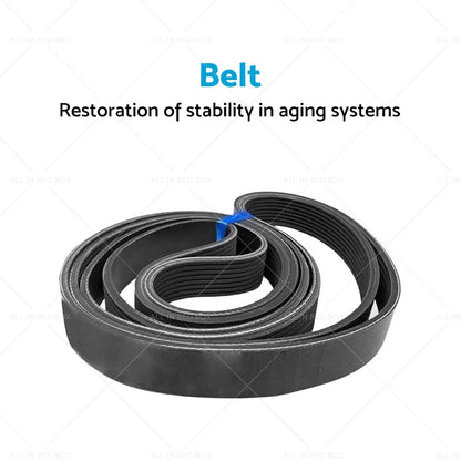 Ribbed Belt 7PK1750 for Honda Accord Euro 2.4 (CL9, CU) (2003-2008)