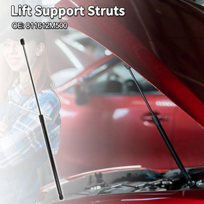 Hood Lift Supports Struts for Hyundai Genesis Coupe (2010-2016)