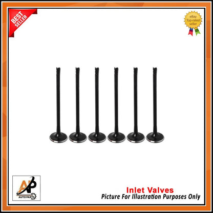 Engine Valve Replacement Set of 12 for Ford 1.0 EcoBoost (2012–2020)