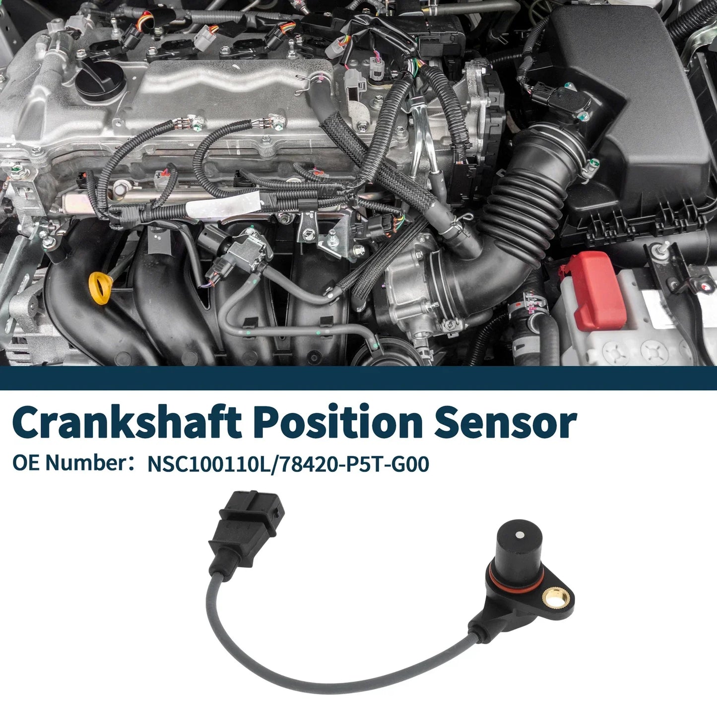 Crankshaft Position Sensor for Honda Accord 2.0 Turbo DI (1999-2002)