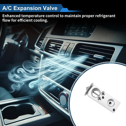 A/C Expansion Valve for Mercedes-Benz C230 2002 (02)