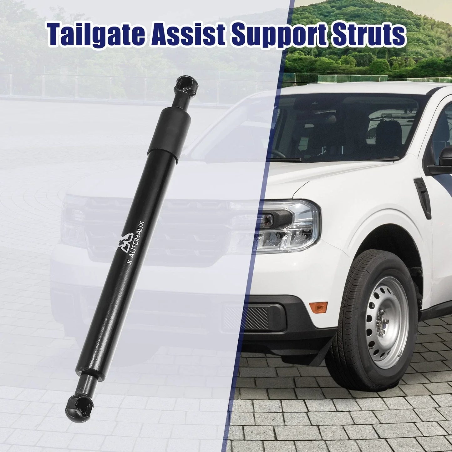 Rear Tailgate Assist Shock Lift Support Struts for Dodge Ram 1500 (2009-2018)