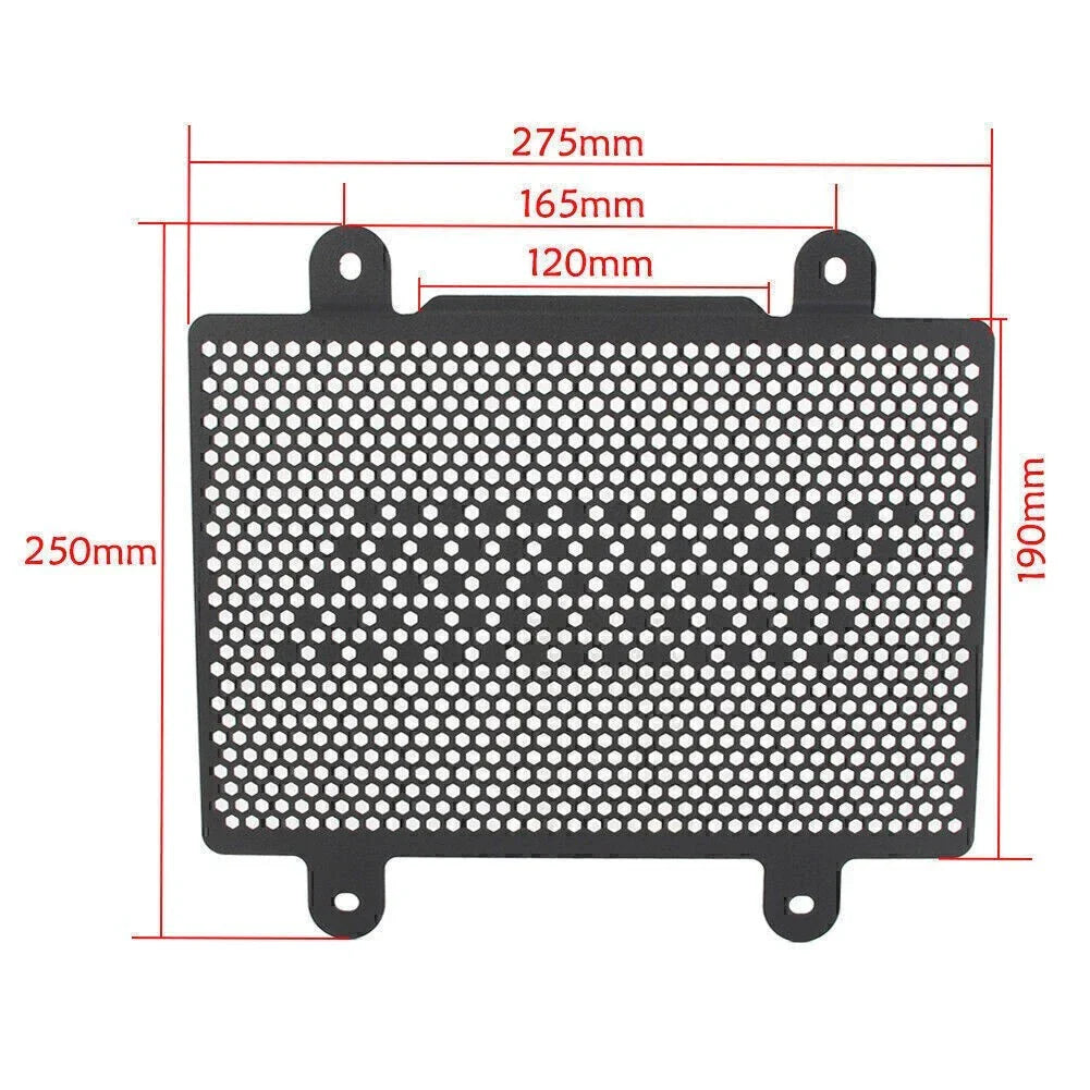 Radiator Grille Guard Cover for BMW G310R G310GS (2017-2018)