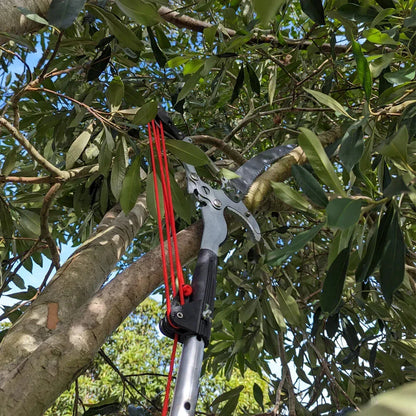 10M Telescopic High Branch Cutting Scissors for Car (No specific years)