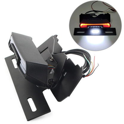 LED Tail Light Turn Signal Lamp for HONDA CRF450L (2018-2022)