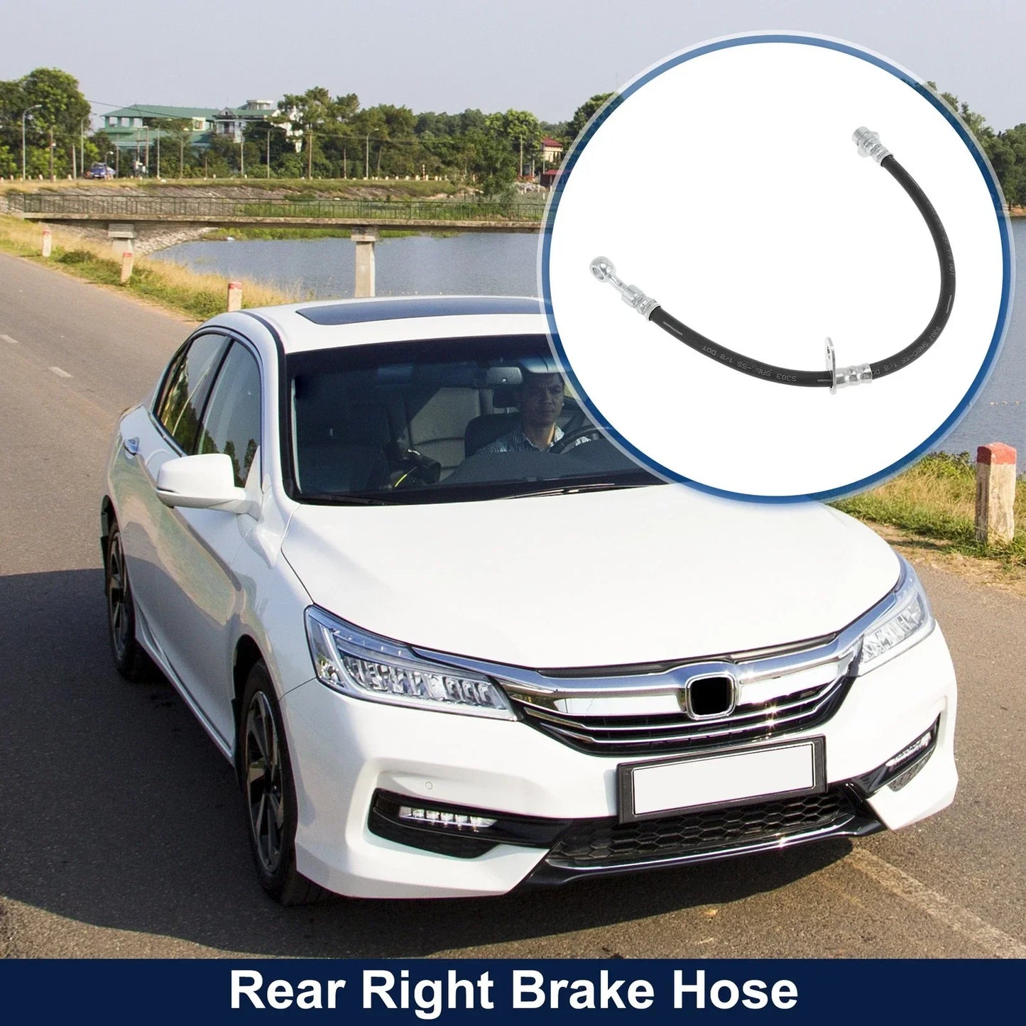 Rear Right Brake Hose for Honda Accord (2013-2017) Hydraulic Brake Line
