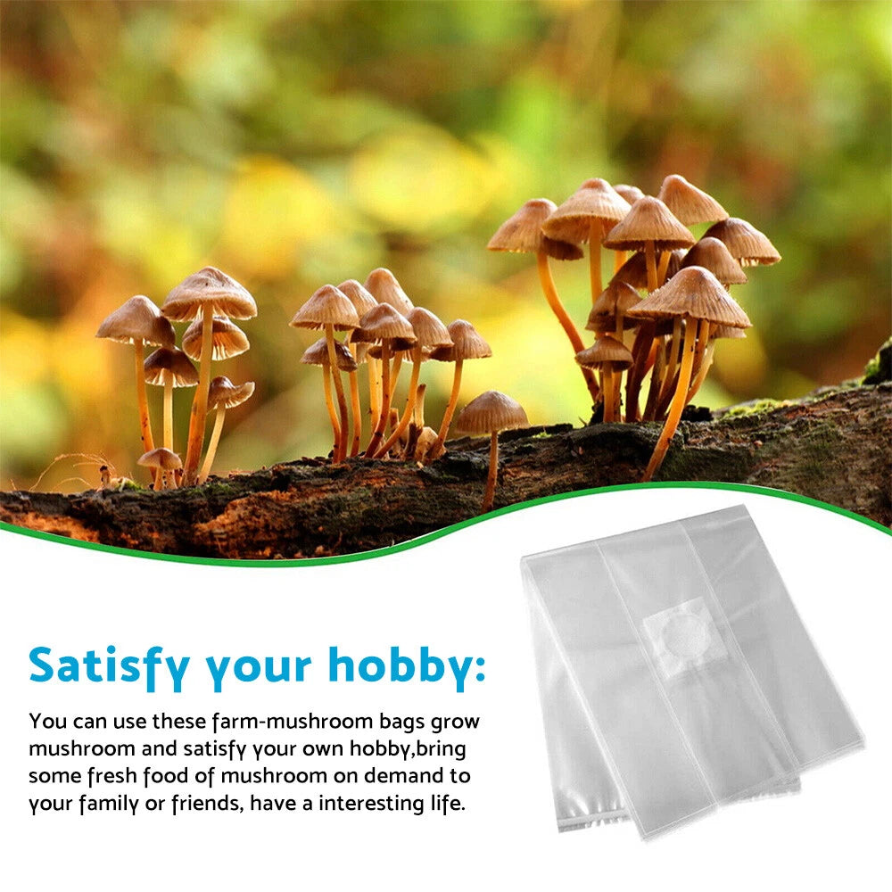 50 x Breathable Mushroom Growing Bags - Autoclavable, Tear Resistant