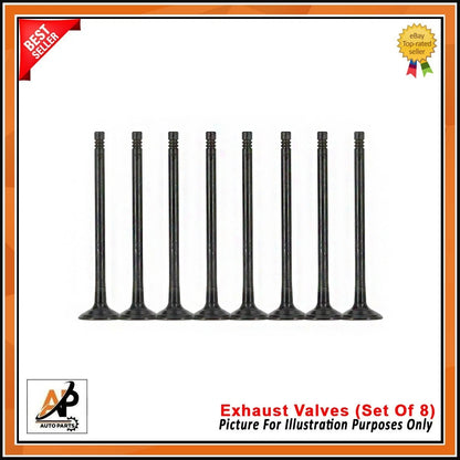 Exhaust Valves Set of 8 for Hyundai Staria Tucson Sportage 2.2 Diesel (2.0) (2019–2024)
