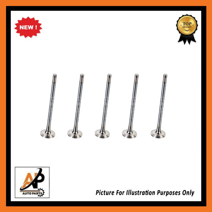 Exhaust Valve Replacement Set 5 Pieces for Renault H4B H5F (2010–2019)
