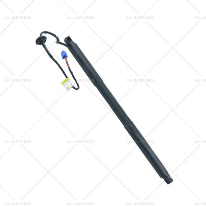 Gas Strut for Mercedes Benz W166 ML350 (2012-2015)