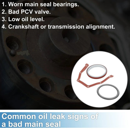 Rear Crankshaft Oil Seal & Installer Tool for Dodge B Series 5.9L (1994-2002)